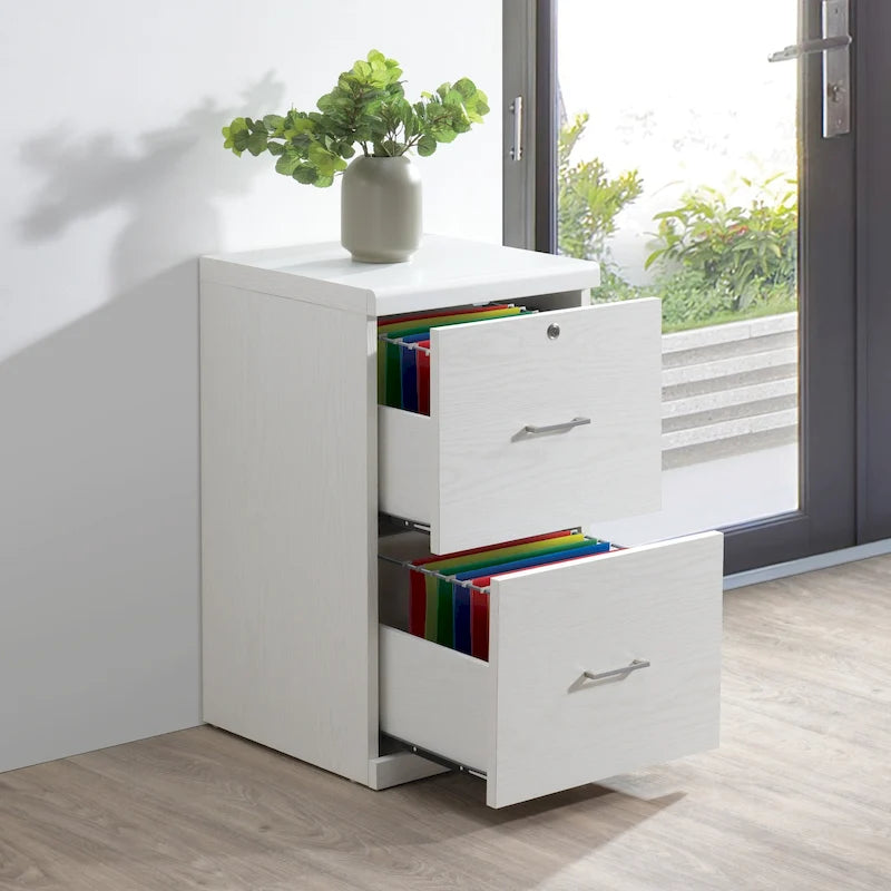 2-Drawer Vertical File Cabinet with Locking Top Drawer & Wood Grain Finish, Black / Espresso / Natural / White, Modern Style