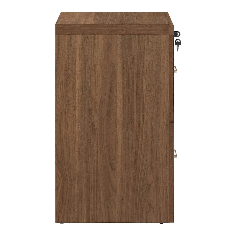2-Drawer Vertical File Cabinet with Locking Top Drawer & Wood Grain Finish, Black / Espresso / Natural / White, Modern Style