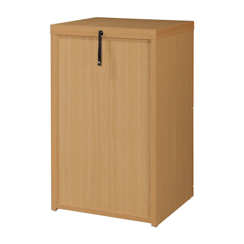 2-Drawer Vertical File Cabinet with Locking Top Drawer & Wood Grain Finish, Black / Espresso / Natural / White, Modern Style