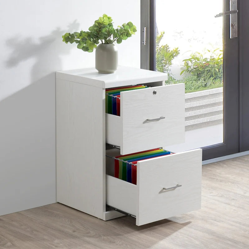 2-Drawer Vertical File Cabinet with Locking Top Drawer & Wood Grain Finish, Black / Espresso / Natural / White, Modern Style